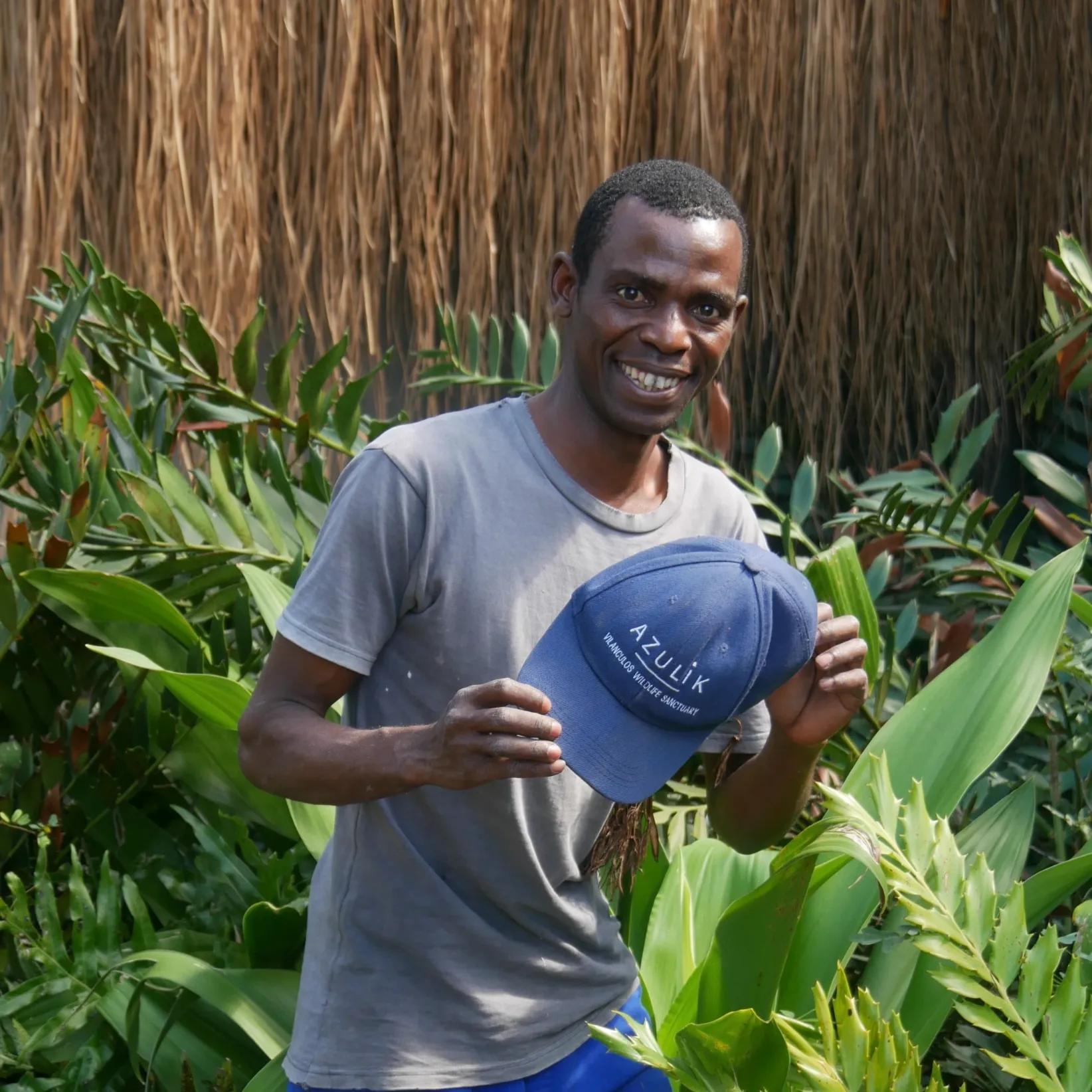 Julius Gardener and Maintenance